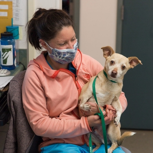 a woman in a mask gently holds a dog